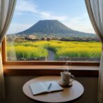 소색채본 카페 창가 자리에서 바라본 산방산과 유채꽃밭 풍경