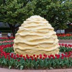 에버랜드 산리오 축제장의 시나모롤 대형 설치물과 튤립 정원