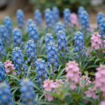 수국 키우기 심는 시기와 꽃색 바꾸는 방법 파란색과 분홍색 수국이 함께 피어 있는 정원