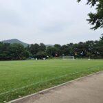 양평생활체육공원 내 넓은 인조잔디 축구장과 주변 산책로 전경