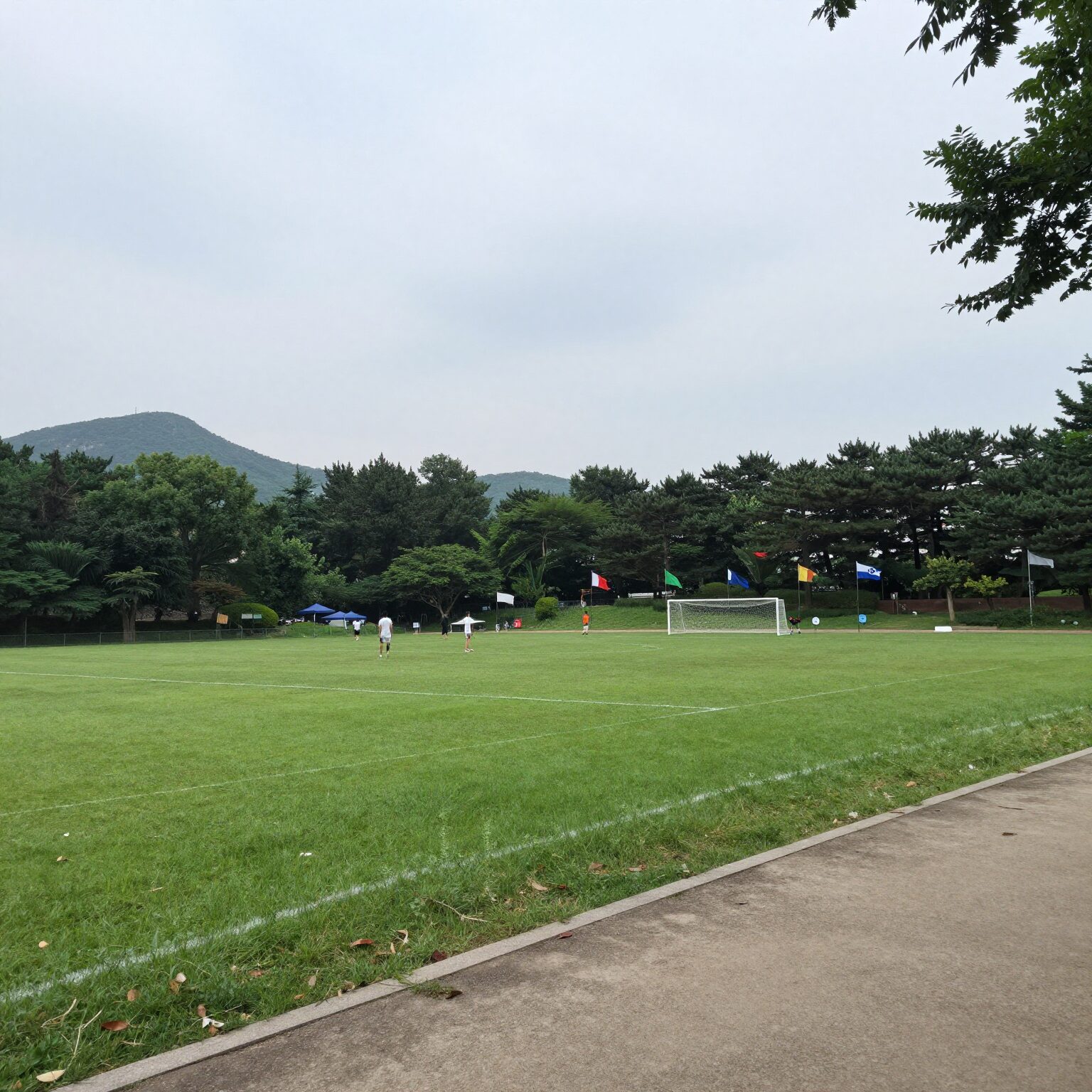 양평생활체육공원 내 넓은 인조잔디 축구장과 주변 산책로 전경