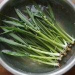 봄 제철 미나리나물 무침 만들기와 다양한 활용법 데쳐서 물기를 뺀 신선한 미나리 나물이 그릇에 담겨 있는 모습