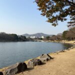 골든위크에도 한적한 후쿠오카 오호리 공원의 넓은 호수와 산책로 풍경