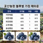 블루베리 1kg 가격 평택 4만원 실화 꽃산농원 블루베리 크기별 1kg 가격 비교 표와 현장 사진