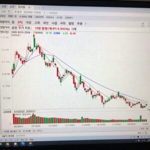 금양 주가 차트, 19만 원에서 9,900원까지 급락한 모습, 상장폐지 결정 전 거래정지 기간 포함