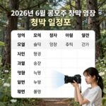 6월 공모주 청약 일정과 투자 포인트 2026년 6월 공모주 청약 일정표