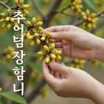 초여름 매실 따기 완벽 정리 초여름 정원에서 매실을 따는 손