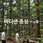 바다 식목일 해초 심기와 바다숲 조성의 중요성 바다숲 조성 전후 비교 사진