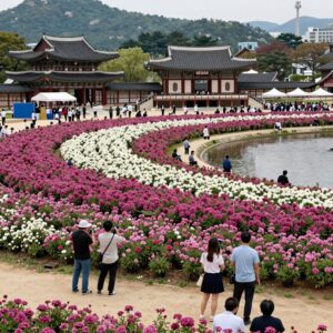 2026 세종 낙화축제 호수공원에서 펼쳐진 낙화 연출 장면