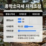 종합소득세 자기조정 외부조정 차이 종합소득세 자기조정과 외부조정의 차이점을 설명하는 표와 그래프 이미지