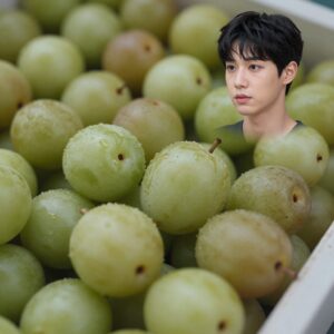성주원예농협 특상품 참외 모습