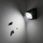 LED 버그 킬러 포충기가 실내 벽에 설치된 모습, 자외선 램프가 은은하게 빛나며 주변 해충을 유인하고 있다.
