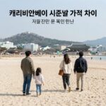 캐리비안베이 시즌별 가격 차이를 표로 정리한 이미지