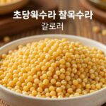 신선한 초당옥수수와 찰옥수수의 칼로리 비교 이미지