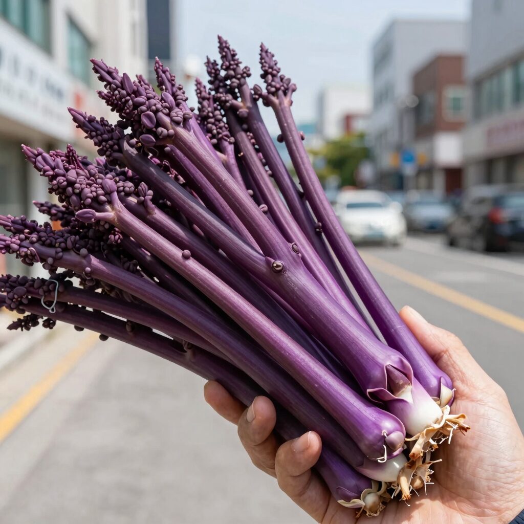 보라색 가지와 건강한 식단 사진