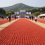 고창 복분자 축제 2026 정보 2026 고창 복분자 축제 선운산도립공원 전경