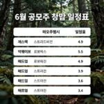 6월 공모주 청약 일정 마지막 기회 6월 공모주 청약 일정표 져스텍 스트라드비젼 빅웨이브로보틱스 매드업 일정 정리