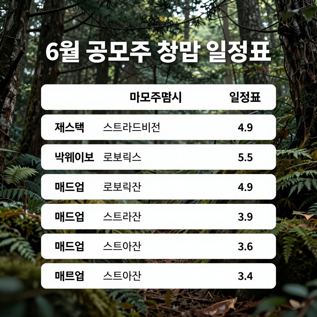6월 공모주 청약 일정표 져스텍 스트라드비젼 빅웨이브로보틱스 매드업 일정 정리