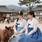 콩콩팜팜 게스트 문상훈 신예은 제주 목장 촬영 현장 스틸