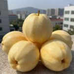 천도복숭아 신선한 과육과 매끈한 껍질