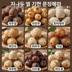 자두 철 시기별 다양한 품종 비교 사진 대석 추희 피자두 미금 등