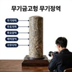 무기금고형 뜻과 특징 무기금고형과 무기징역의 차이를 보여주는 비교 그래프
