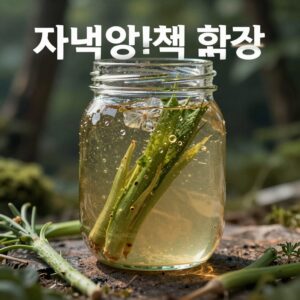 자색양파즙 효능 피부 미용에 도움
