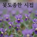 흔들리며 피는 꽃 삶의 위로 흔들리며 피는 꽃 도종환 시집 표지와 함께 보라색 꽃이 흔들리는 이미지