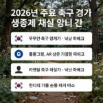 축구 중계 생중계 채널 총정리 2026년 주요 축구 경기 생중계 채널 정보와 시청 방법 안내 이미지