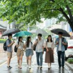 7월 배경화면 무료 다운 추천 7월 여름 일러스트 배경화면 무료 다운로드 비 오는 날 풀잎 아래 모인 캐릭터