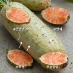 수박 껍질 분리 방법 단계별 사진 겉껍질과 속껍질 구분 음식물 쓰레기 일반 쓰레기 분류