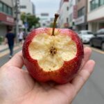 신비복숭아를 사과 자르듯 씨 주변을 돌려 자른 모습