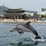 돌핀 태풍 위성 사진 2026년 7월
