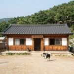 가평 계곡 애견펜션 추천 베스트 가평 계곡 애견펜션 하우스25의 독채 외관과 마당 전경
