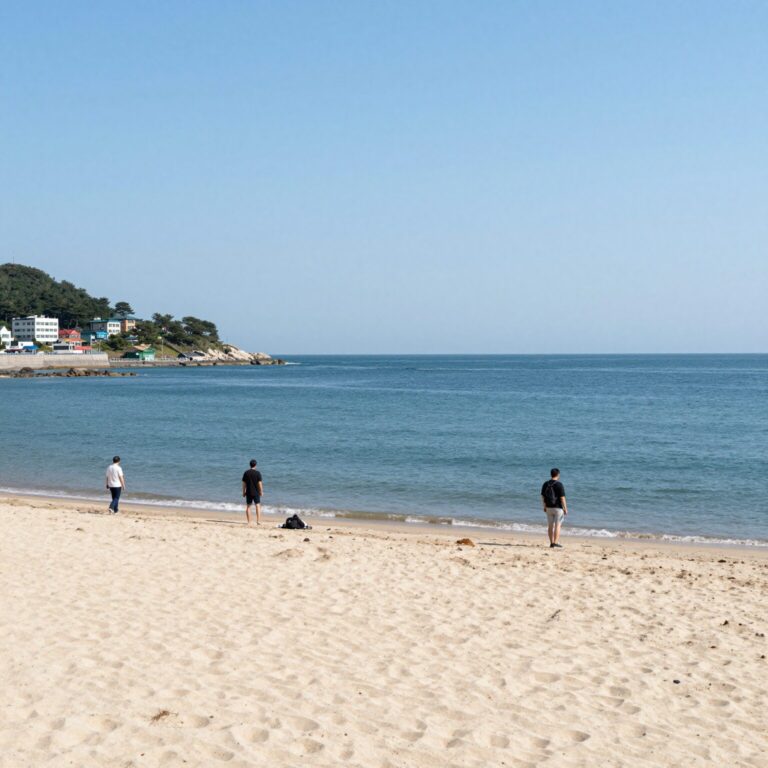 강릉 블리스펜션 오션뷰 객실에서 바라본 바다와 강이 어우러진 풍경