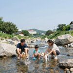 부산근처 계곡 물놀이 명소 4곳 추천 부산근처 계곡 시원한 물놀이를 즐기는 가족과 반려견의 모습