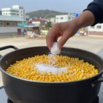 냄비에 옥수수를 쌓고 소금과 뉴슈가를 넣어 삶는 모습, 찰옥수수 삶는 과정