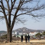 가리산자연휴양림 구산막 은행나무 외부 전경
