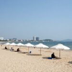 2026 광안리 파라솔 대여 요금과 해변 이용팁 광안리 해수욕장 갈대 파라솔과 비치베드가 설치된 해변 풍경