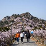 여름 제주도 여행 2박3일 코스 추천 여름 제주도 한라산 윗세오름 철쭉 산행 풍경
