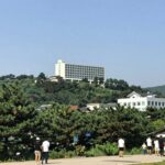 캐리비안베이 숙소 가격 비교 추천 캐리비안베이 근처 호텔 더숨 포레스트 전경