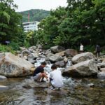 무주 여름 계곡 추천 베스트 무주 계곡 시원한 물과 주변 숲