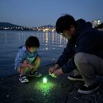 문어 애기 LED 발광 채비 밤낚시 추천 후기 문어 애기 LED 발광 채비 밤낚시 성공