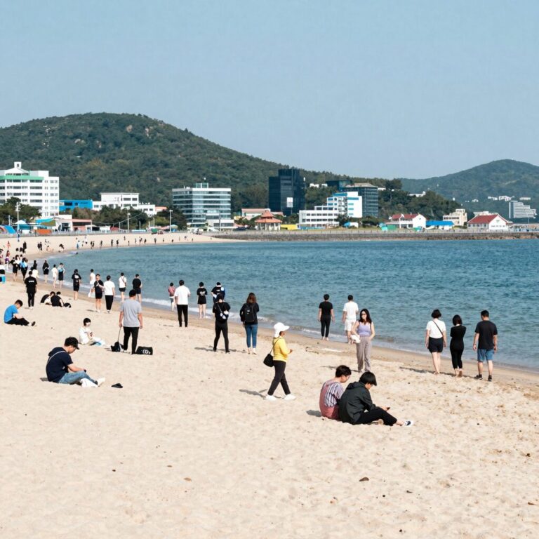 오산해수욕장 실시간 CCTV 화면으로 해변 혼잡도 확인하는 방법 설명