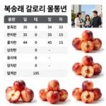 복숭아 칼로리 비교와 다이어트 간식 활용 복숭아 칼로리 비교 품종별 열량 표와 다양한 복숭아 사진
