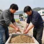 자두잼 만드는 법 실패 없는 홈메이드 팁 자두 세척과 씨 제거 과정