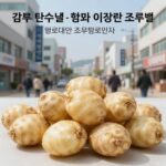 감자 탄수화물 함량 제대로 알기 감자 탄수화물 함량과 다양한 조리법 비교