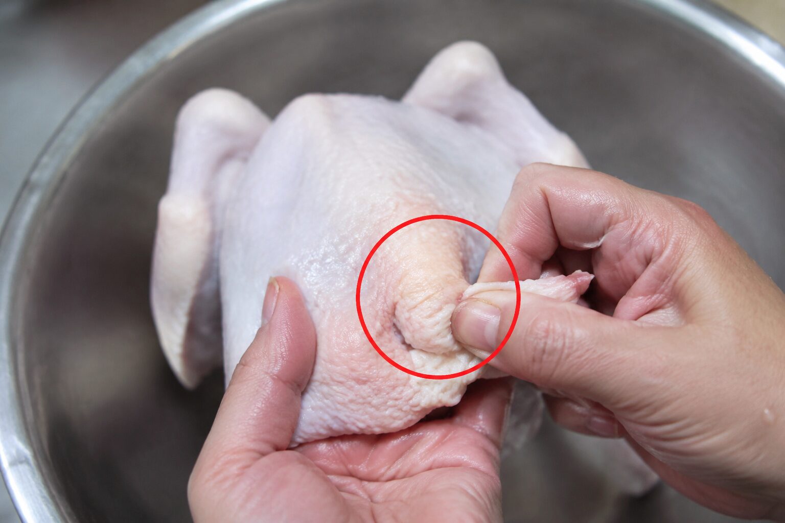 냄비 삼계탕 닭 손질법 꽁지와 지방 제거 과정