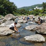괴산 쌍곡계곡 떡바위 물놀이 포인트 넓은 바위와 맑은 물
