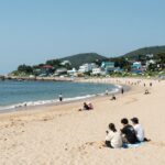 양양 서피비치 여름 해변 풍경